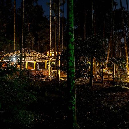 Wooden Cottages Glen Wayanad Meppadi Экстерьер фото