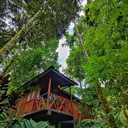 Wooden Cottages Glen Wayanad Meppadi Экстерьер фото