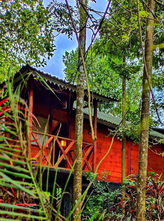 Wooden Cottages Glen Wayanad Meppadi Экстерьер фото