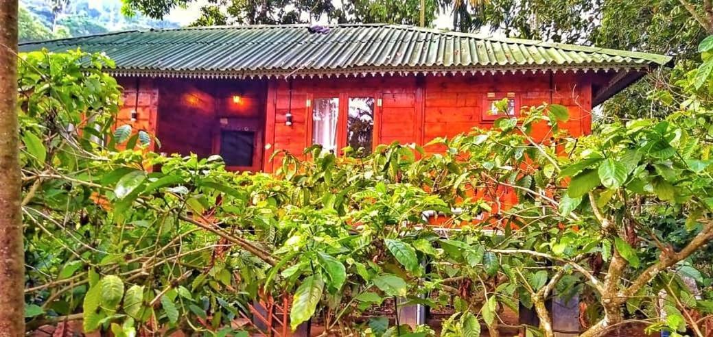 Wooden Cottages Glen Wayanad Meppadi Экстерьер фото