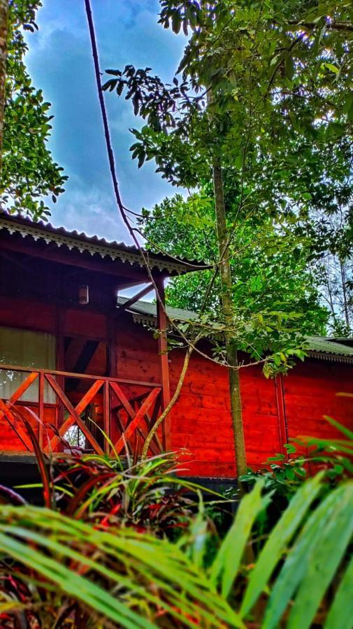 Wooden Cottages Glen Wayanad Meppadi Экстерьер фото