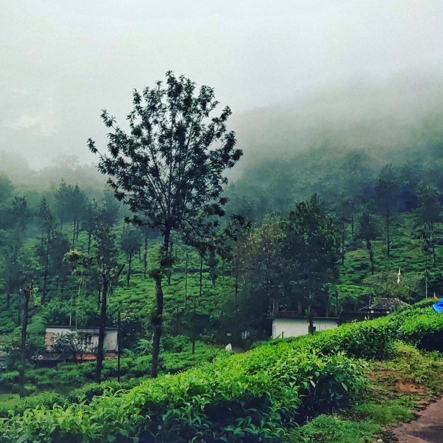 Wooden Cottages Glen Wayanad Meppadi Экстерьер фото