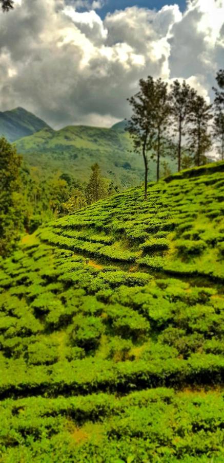 Wooden Cottages Glen Wayanad Meppadi Экстерьер фото