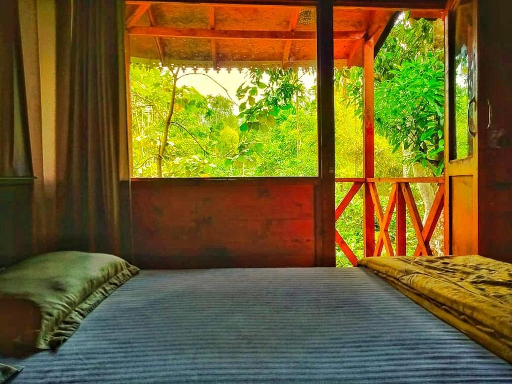 Wooden Cottages Glen Wayanad Meppadi Экстерьер фото