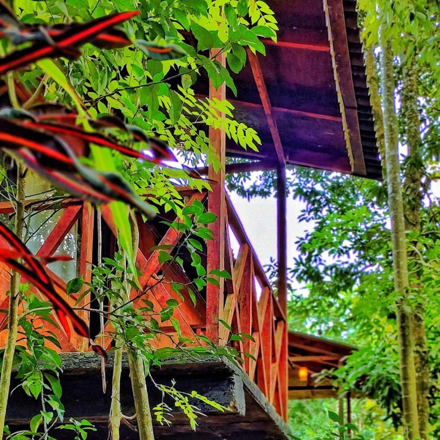 Wooden Cottages Glen Wayanad Meppadi Экстерьер фото