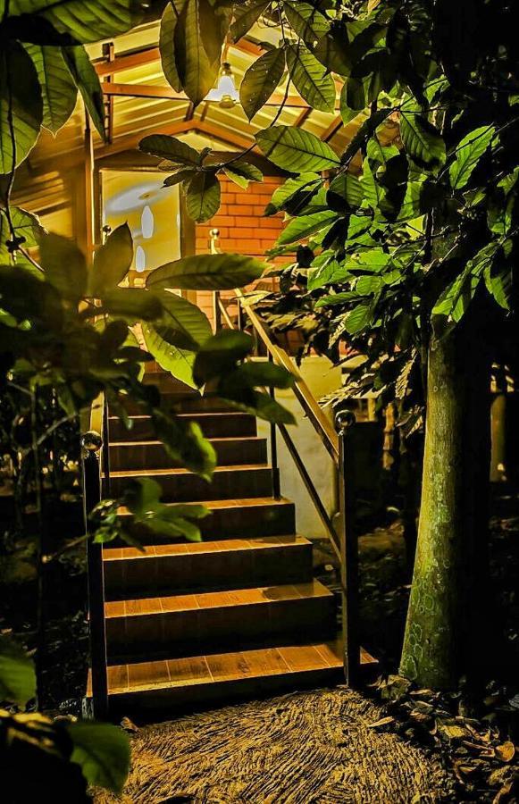 Wooden Cottages Glen Wayanad Meppadi Экстерьер фото