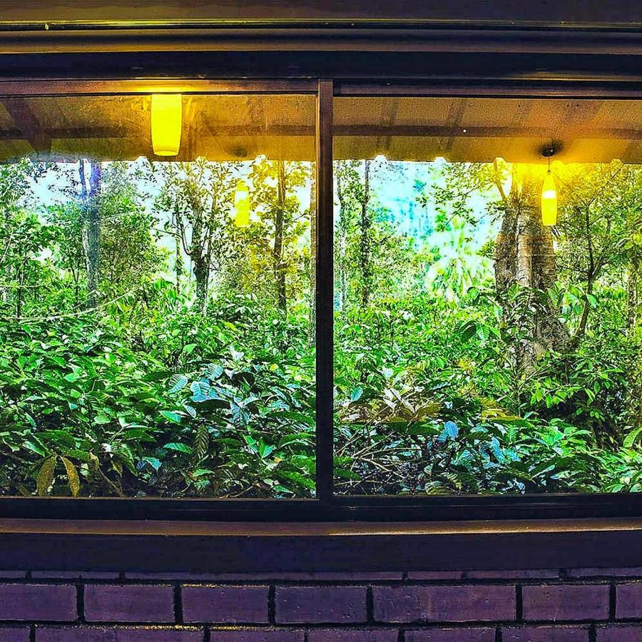 Wooden Cottages Glen Wayanad Meppadi Экстерьер фото