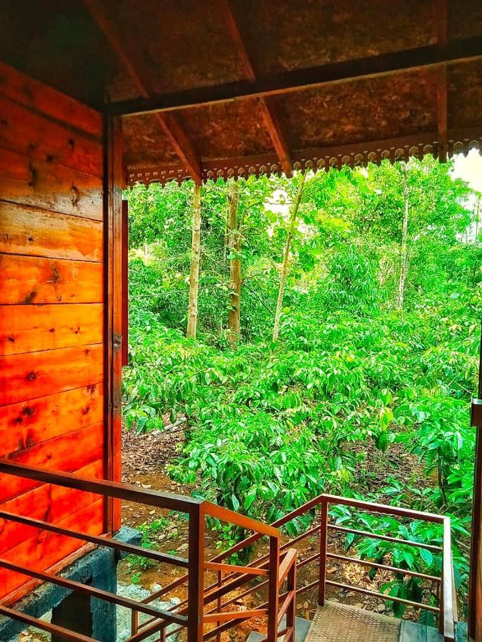 Wooden Cottages Glen Wayanad Meppadi Экстерьер фото
