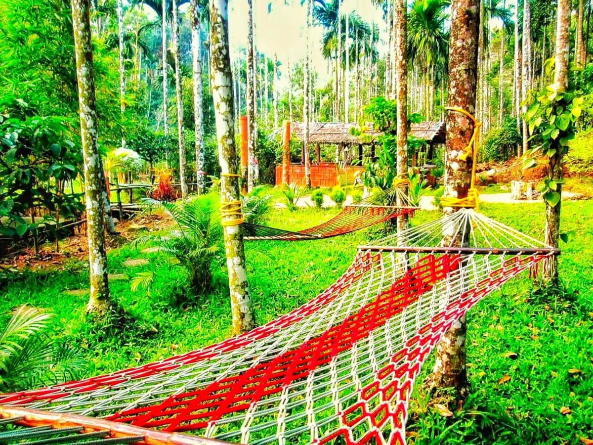 Wooden Cottages Glen Wayanad Meppadi Экстерьер фото