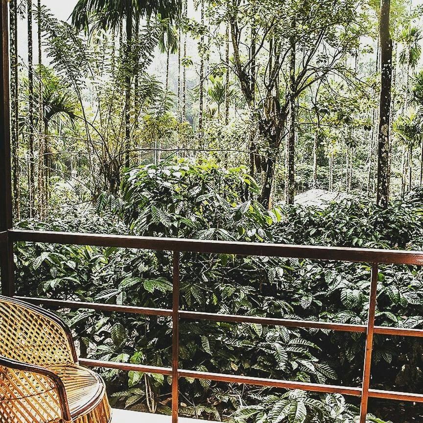 Wooden Cottages Glen Wayanad Meppadi Экстерьер фото
