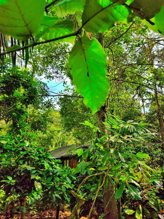 Wooden Cottages Glen Wayanad Meppadi Экстерьер фото