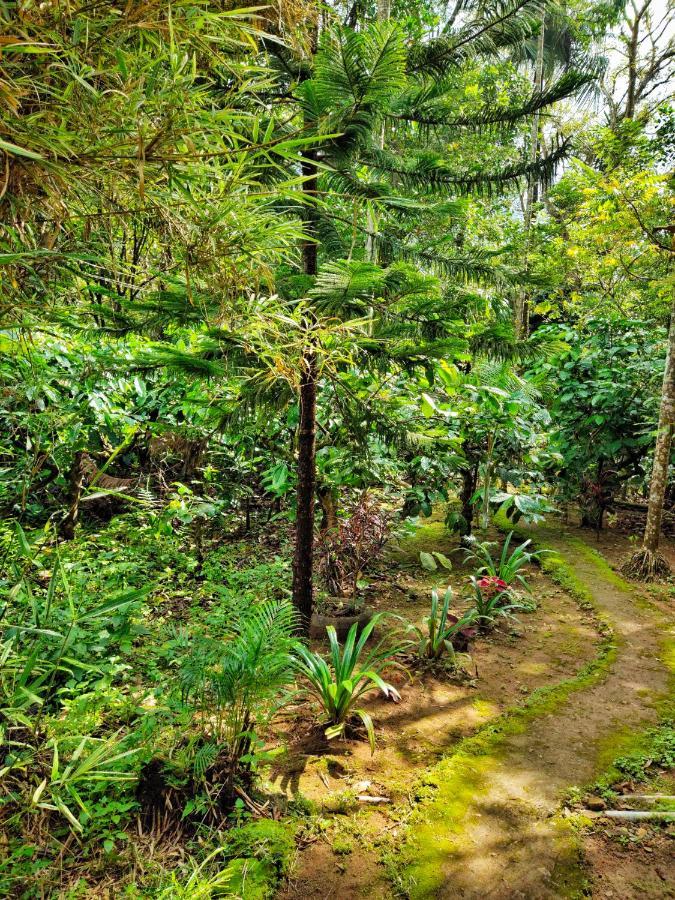 Wooden Cottages Glen Wayanad Meppadi Экстерьер фото