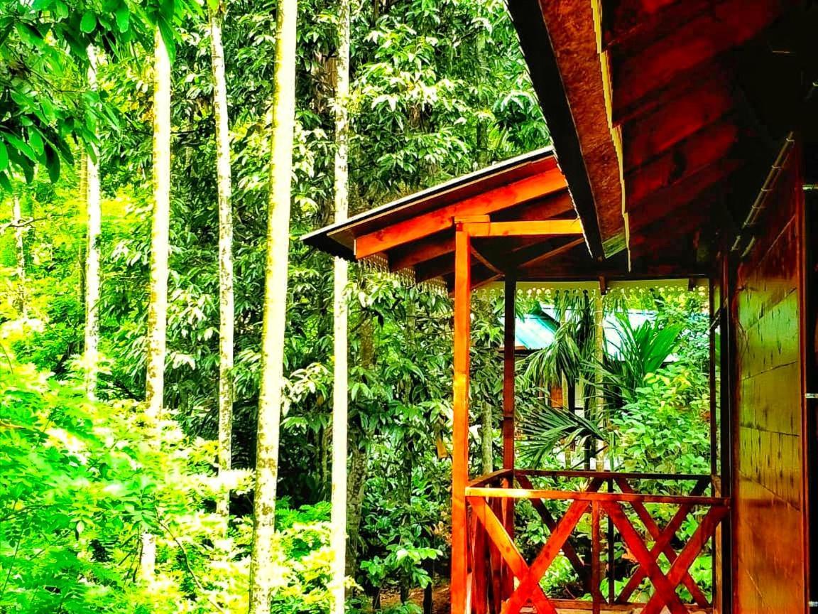 Wooden Cottages Glen Wayanad Meppadi Экстерьер фото