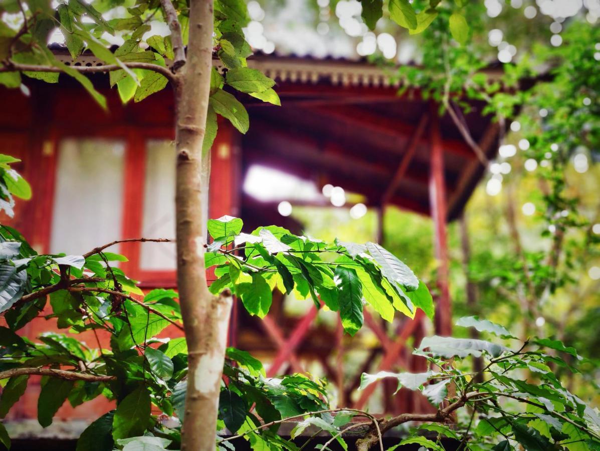 Wooden Cottages Glen Wayanad Meppadi Экстерьер фото