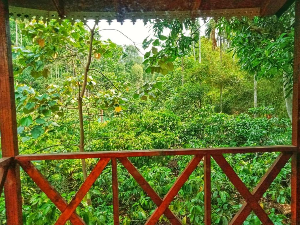 Wooden Cottages Glen Wayanad Meppadi Экстерьер фото