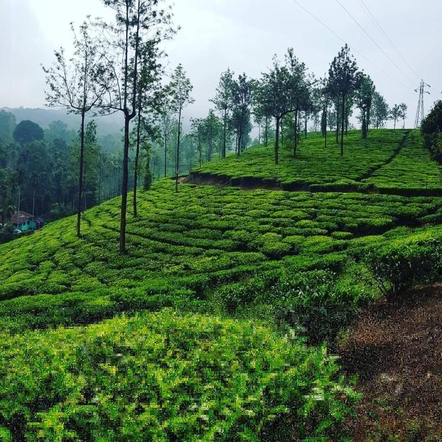 Wooden Cottages Glen Wayanad Meppadi Экстерьер фото