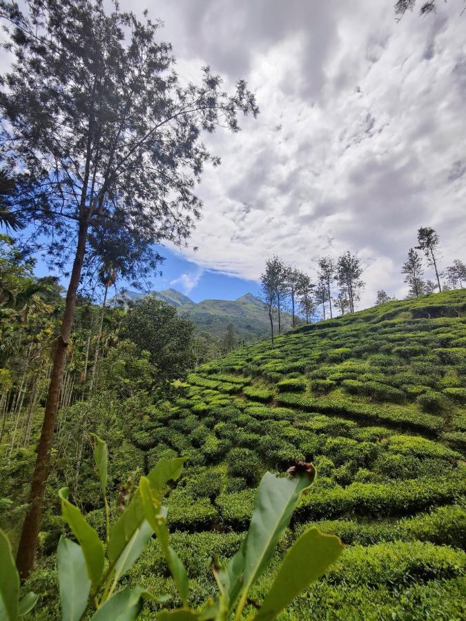 Wooden Cottages Glen Wayanad Meppadi Экстерьер фото
