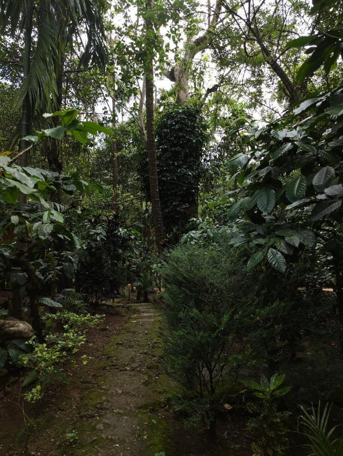 Wooden Cottages Glen Wayanad Meppadi Экстерьер фото