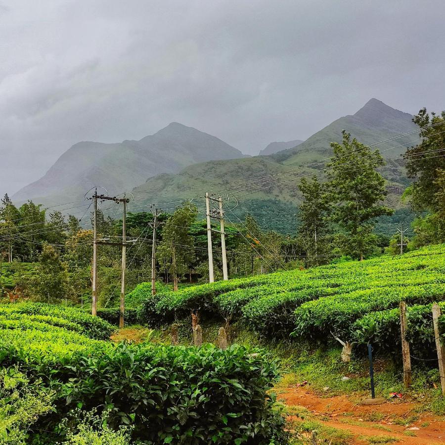 Wooden Cottages Glen Wayanad Meppadi Экстерьер фото