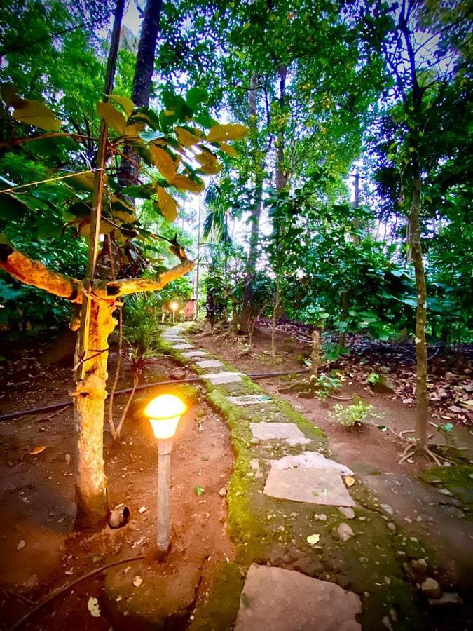 Wooden Cottages Glen Wayanad Meppadi Экстерьер фото