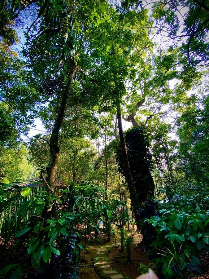 Wooden Cottages Glen Wayanad Meppadi Экстерьер фото