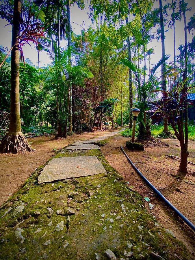 Wooden Cottages Glen Wayanad Meppadi Экстерьер фото