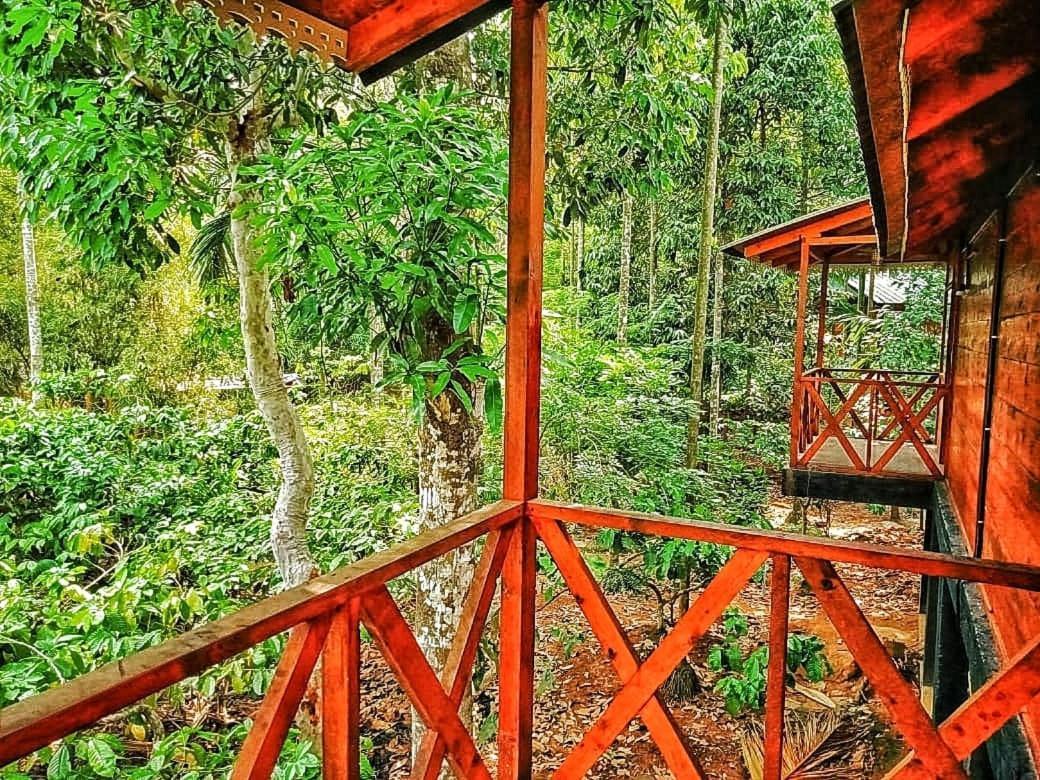 Wooden Cottages Glen Wayanad Meppadi Экстерьер фото