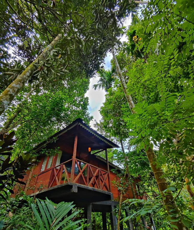 Wooden Cottages Glen Wayanad Meppadi Экстерьер фото