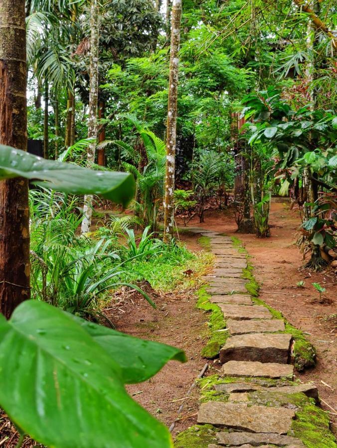 Wooden Cottages Glen Wayanad Meppadi Экстерьер фото